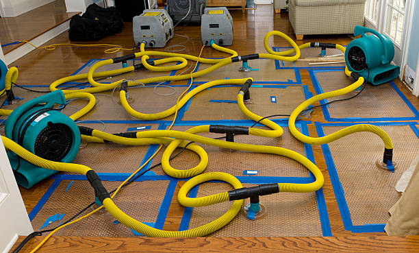 Professional Water Damage Restoration technician working in South Salem, OH